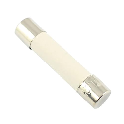 Fusible céramique 10A 6x30 mm rapide 250V pour protection électrique (Lot de 10)