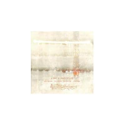 A WAY A LAND OF LIFE [VINYL 1LP, LIMITED-JASON AJEMIAN / TONY MALABY / ROB MAZURE