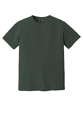 Image of Comfort Colors Adult Short Sleeve Tee, Style G1717