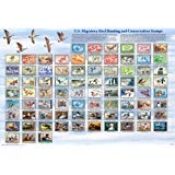 Laminated U.S. Migratory Bird Hunting and Conservation Stamps Poster