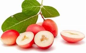 Image of Live Carissa Carandas Karonda Vinegar Plant with Pot a€ inch Fruit-Bearing Medicinal Shrub for Home Garden, Balcony, Outdoor Landscaping a€ inch Hardy, Edible Berry Plant - Pack of 1
