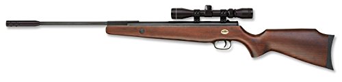 Beeman RS2 .22 Air Rifle Combo with 3-9x32mm Scope