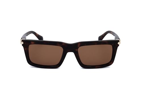 Sunglasses SF 2015 S 242 Dark Tortoise2