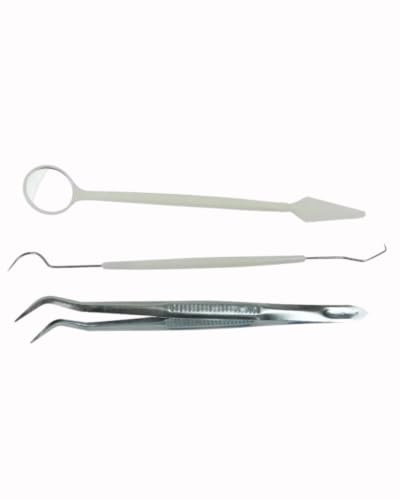 Image of Dental Disposable Sterile 3in1 (Mirror and Probe) Kit Set of 50