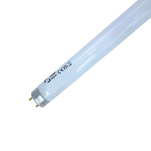 DSTOCK60 - Lampadina tubo fluorescente - neon T8 70 W 830 G13 6200 lm = 70 W Ø2,8 cm bianco caldo 3000 K - 180 x 2,8 cm