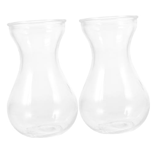 POPETPOP Vase en Verre Transparent Vase Hydroponique Simple Récipient à Fleurs Décoration Intérieure Pot de Jacinthe pour Bureau et Maison Lot de 2
