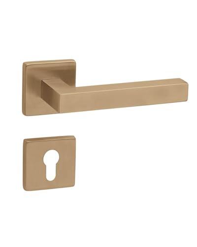 Gedotec Door Handle Brushed Brass | 1 Set | Rosette Fitting on Square Rosettes | Carat | PZ Profile Cylinder | Door Handle Interior Doors | Handle Set Including Mounting Material | Rustproof Lever