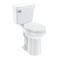 Two-Piece Toilet for Bathroom, Elongated Toilet with Height 21" Extra Tall, Soft Close Seat, Powerful Flush