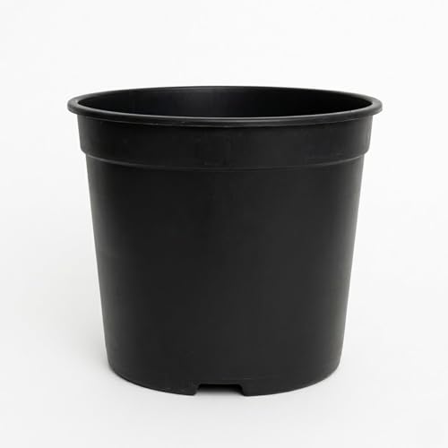 Image of 6 Inch Heavy Duty Plastic Planter | Grower Pot /Garden Pot for Home & Garden (Black) (Pack of 12)