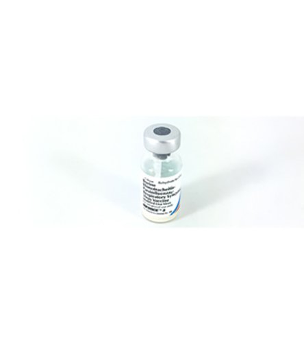 Zoetis 2645263C Inforce 3-1 dose