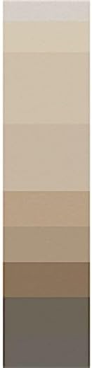 DOMETIC 848NS19.400B 8500 Patio Awning