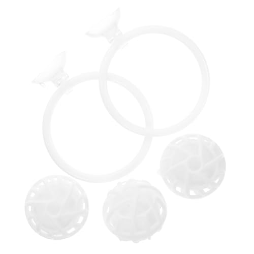 Set de entrenamiento y biofiltración para pez Betta miniatura 1