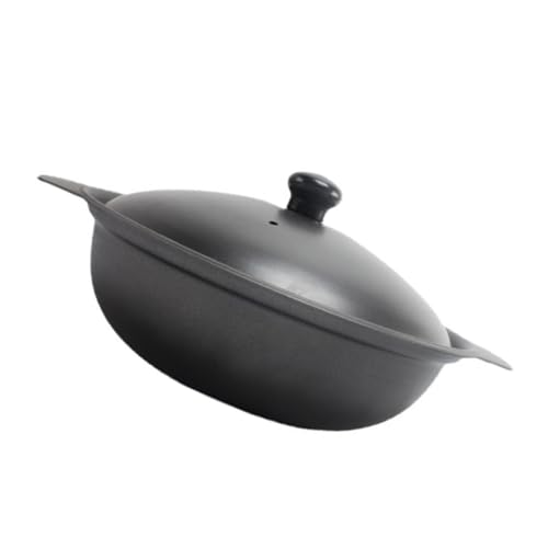 HOMSFOU Olla Pequeña de Hierro Fundido de 20 Cm con Tapa, Resistente al Calor para Arroz con Pollo Guisado Amarillo y Cocina Saludable, Cazuela para Estofados y Bibimbap, Adecuado