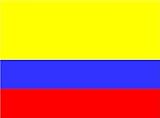 bandera colombia y ecuador PROCESO DE COLOR:La bandera que imprime el aerosol directo digital arte, en la fijación de alta temperatura, color brillante
