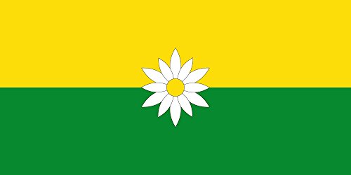 Grand drapeau Marsella Risaralda municipio pavillon extérieur polyester - 2