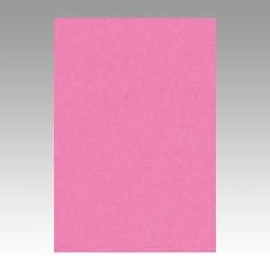 （業務用セット） 文運堂 ニューカラーR 八ツ切 横271&times;縦392mm 8NCR-242 ももいろ 100枚入 【&times;2セット】 d