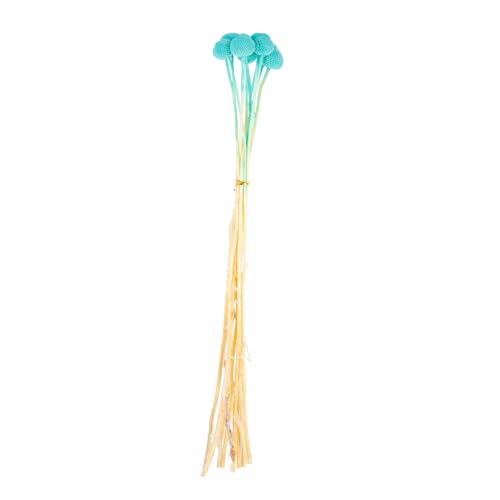 Flores Secas Craspedia Azul Pack de 10 para Decoración miniatura 1
