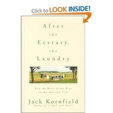 After the Ecstasy the Laundry Publisher: Bantam