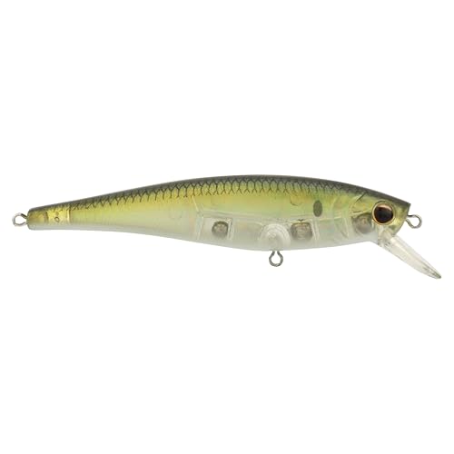 Leurre de pêche en eau salée Berkley Cutter action suspending anti corrosion