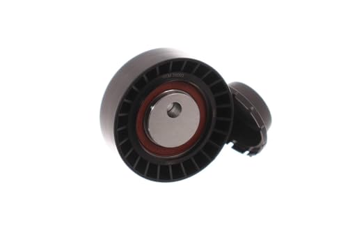 Éliminez les bruits de courroie avec le Kit de Galet Enrouleur Multi-V SKF VKM 38003