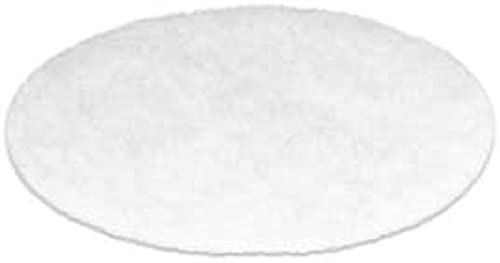 TROTEC Brune Luftbefeuchter B 300 Filterscheibe