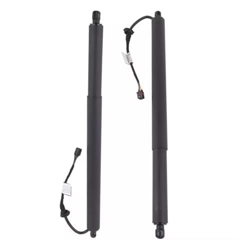 Hayon bloqué sur Palisade ? Changez pour ce support de levage électrique OEM - 3