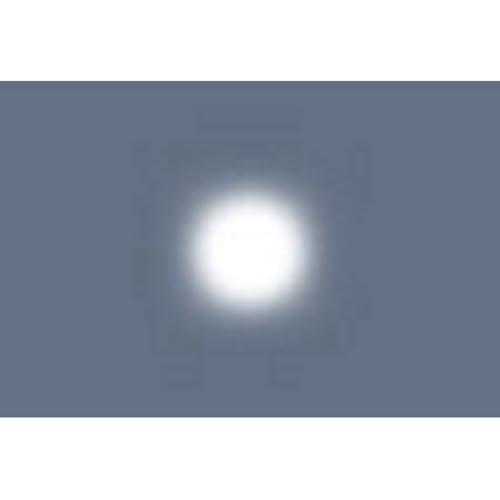 Lee Filters Opal Frost 48