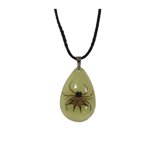 Caiyao Real Bug Necklace Real Insect Beetle Spider Scorpion Ant Taxidermy Animals Insect Collect Pendant Necklace Jewelry-Spider