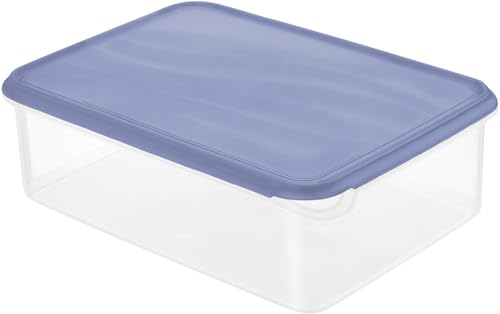 Rotho Kühlschrankdose Rondo 5 l horizon blau, Frischhaltedose, Vorratsdose
