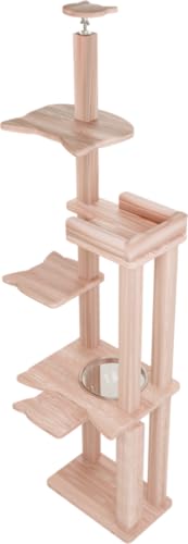 TBS�˂������ŏЉ� �L���b�g�^���[ �j�����e���A �y���v�� �h���[�� �t���Z�b�g�z �S�[�W���X �X���� �R���p�N�g �V�R�ؐ� �V�������� �œKpH�o�����X �X�ї� ���N�\�h ���L �R�� �������� �܂Ƃ� �ؓo�� ���ɂ�� �����x ���ϋv �ꐶ�g���� (��