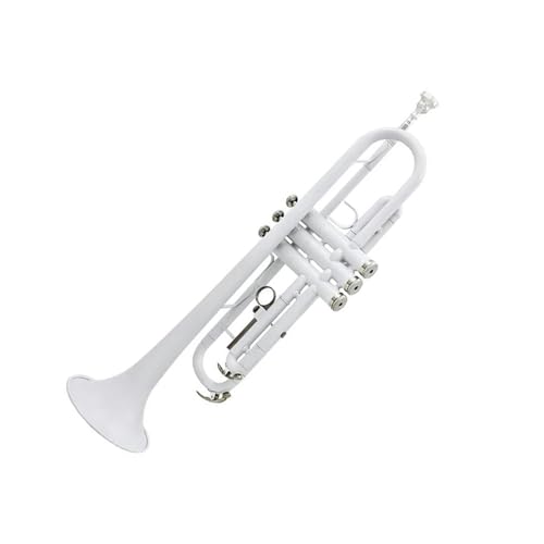 Trompeta Estándar Trompeta Blanca En Si Bemol Instrumento De Viento Metal Con Boquilla Guantes Caja Y...