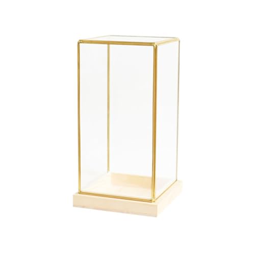 ���W�i�p�̃G���K���g�ȃf�B�X�v���C�P�[�X�A�g�ݗ��Ă�N���A�J�o�[�A�^�J�t���[���A�K���X�A���r���O���[���̑����A�V���[�P�[�X�A�^�J�̎��W�i