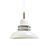 bamyum Torchia Lámpara Colgante Industrial, Lampara de Salón Cocina de Metal 34 cm, Lámpara Vintage para Dormitorio, Comedor, Pasillo, Lámpara Colgante Industrial, Iluminación Techo Blanco