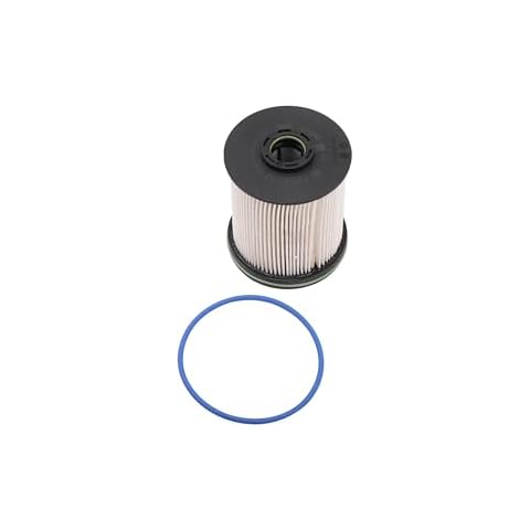 GM Genuine Parts Fuel Filter Cover