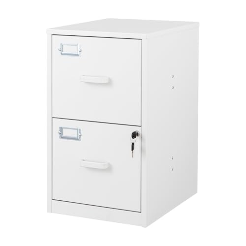 BYNSOE 2 Drawer File Cabinet with Lock Vertical Filing Storage Office Home Steel Vertical File Cabinets for Letter Size File Cabinet Locked,Assembly Required