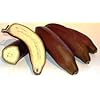 Generic Fresh 100 stks Banaan Fruit ZADEN voor opplant Bruin