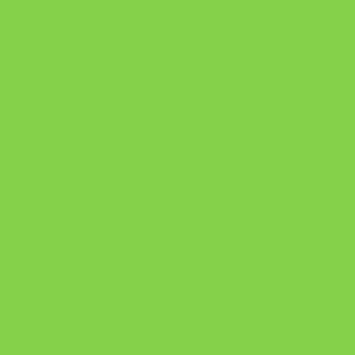 10 x Sheets 20" x 30"Acid Free Coloured Tissue Paper- Light Green