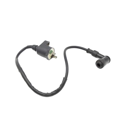 Bobina de encendido para moto DJ125: arranque suave y estable 2