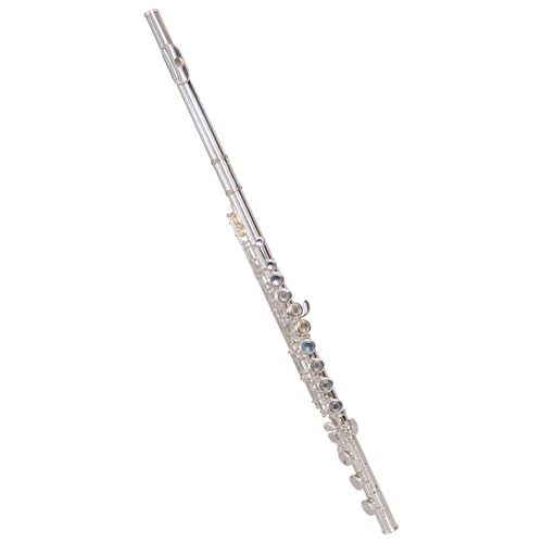 16 Jpt[gy C g[⃁bLf t[g؊Ǌy