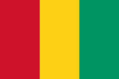 Drapeau Guinée 0.96m² format paysage pour mât extérieur - 2