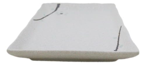 Set 5 platos rectangulares sushi 7.75 pulgadas miniatura 5