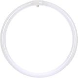 BULBMASTER FC16T9/CW 40 Watts 16 Inch Round Fluorescent T9 Circular Light Bulb, 4 pin Light Bulb Cool White 4100K, FC16T9 2600 Lumens G10Q 4-Pin Base 40W Fluorescent Circline Lamp