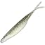 【127】Silver Shad