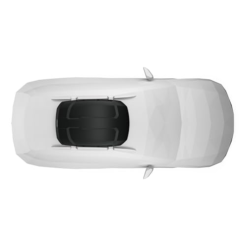 Thule Force Rooftop Cargo Box