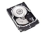 8 MB Puffer Seagate ST3146854LW Cheetah 15K.4 Festplatte 146.8 GB 3.5 ms U-320 SCSI 8.0 MB (Generalüberholt)