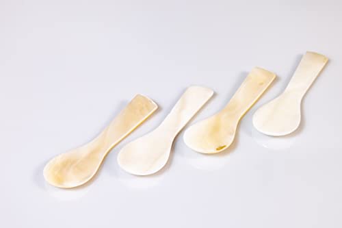 Sepehr Dad Caviar Salzwasser Perlmuttlöffel für Eier oder Kaviar | Klein, 6,5 cm | 2er Pack