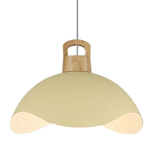 ZGDHWCR E27 Light Source Single-head Chandelier, Simple Style Metal Hanging Light, Creative And Personalized Pendant Lamp Shade, Balcony Restaurant Decoration Ceiling Lighting Fixtures