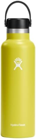 Hydro Flask 21 oz Standard Mouth with Flex Cap Stainless Steel Reusable Water Bottle Cactus - Vacuum Insulated, Dishwasher Safe, BPA-Free, Non-Toxic