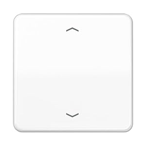 Jung CD590PWW Wippe für Taster 1-Fach