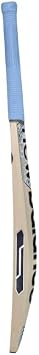 New Balance TC 300i PRO Kashmir Willow Cricket Bat